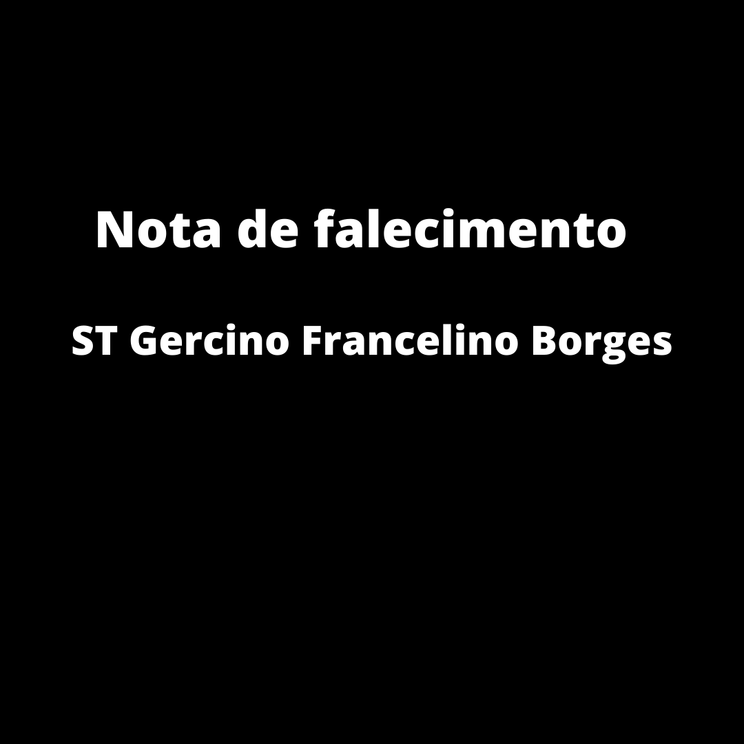 imagem noticia