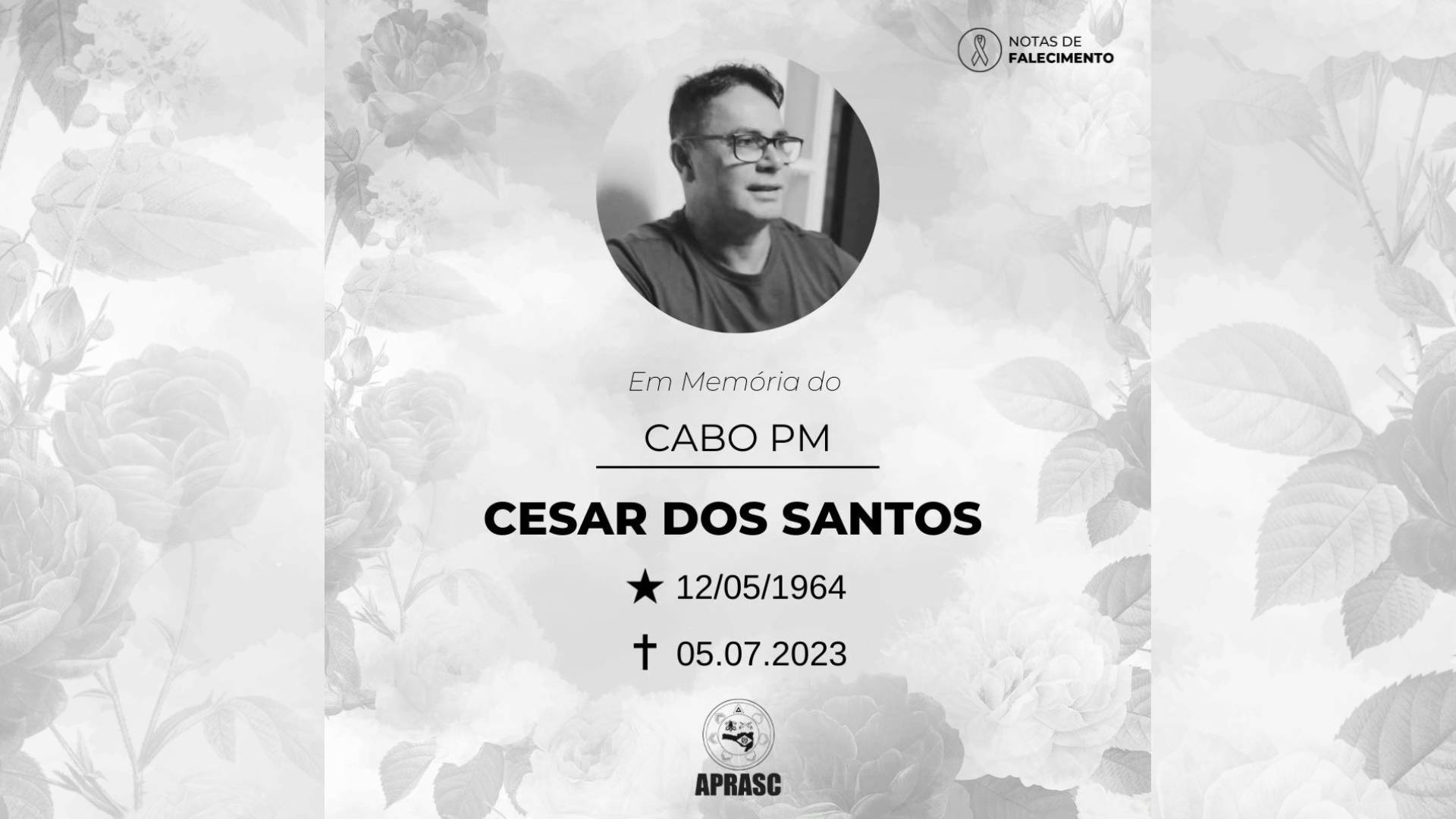 imagem noticia