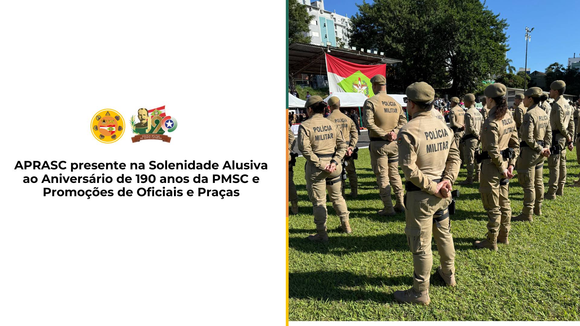 imagem noticia