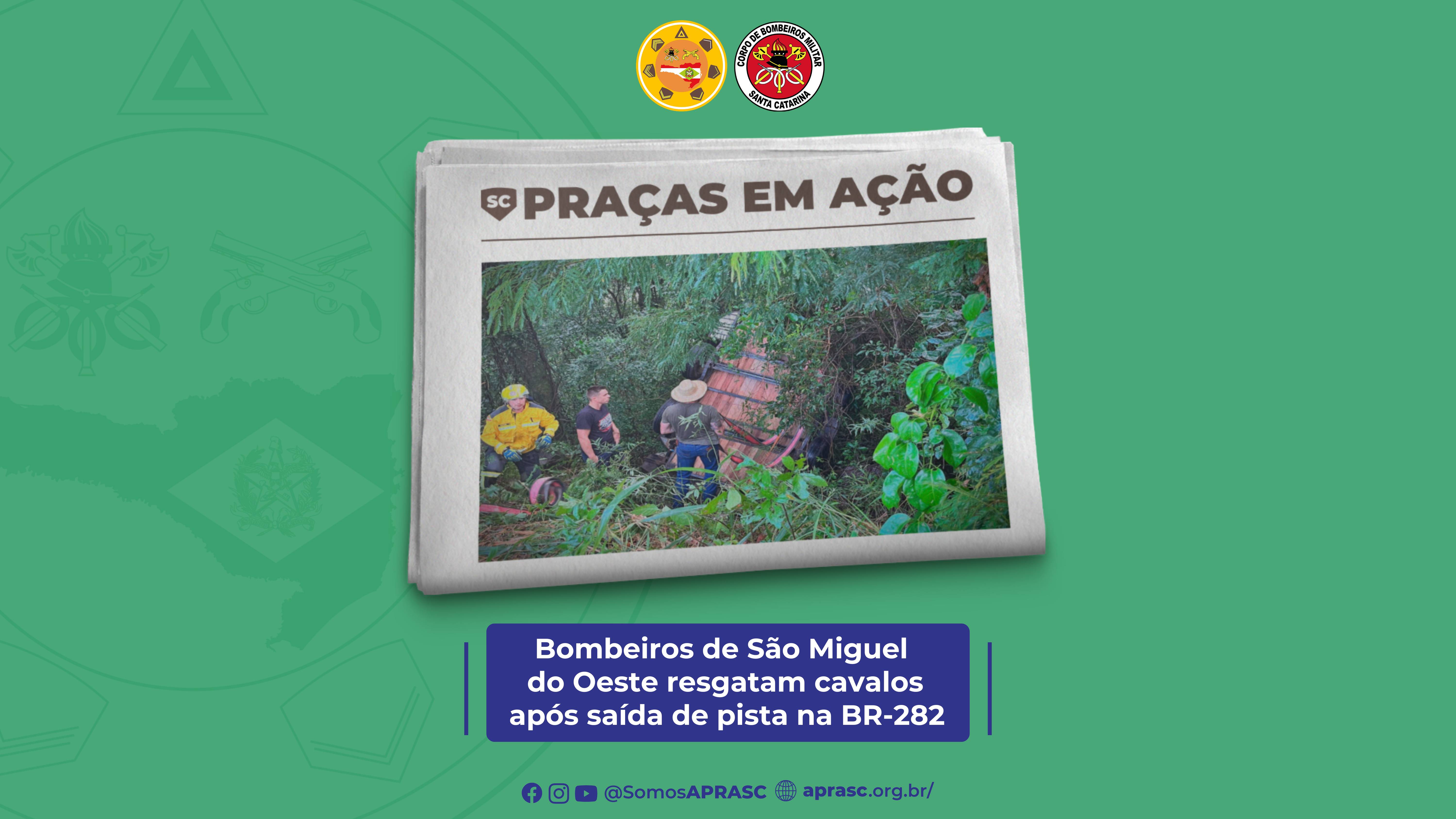 imagem noticia