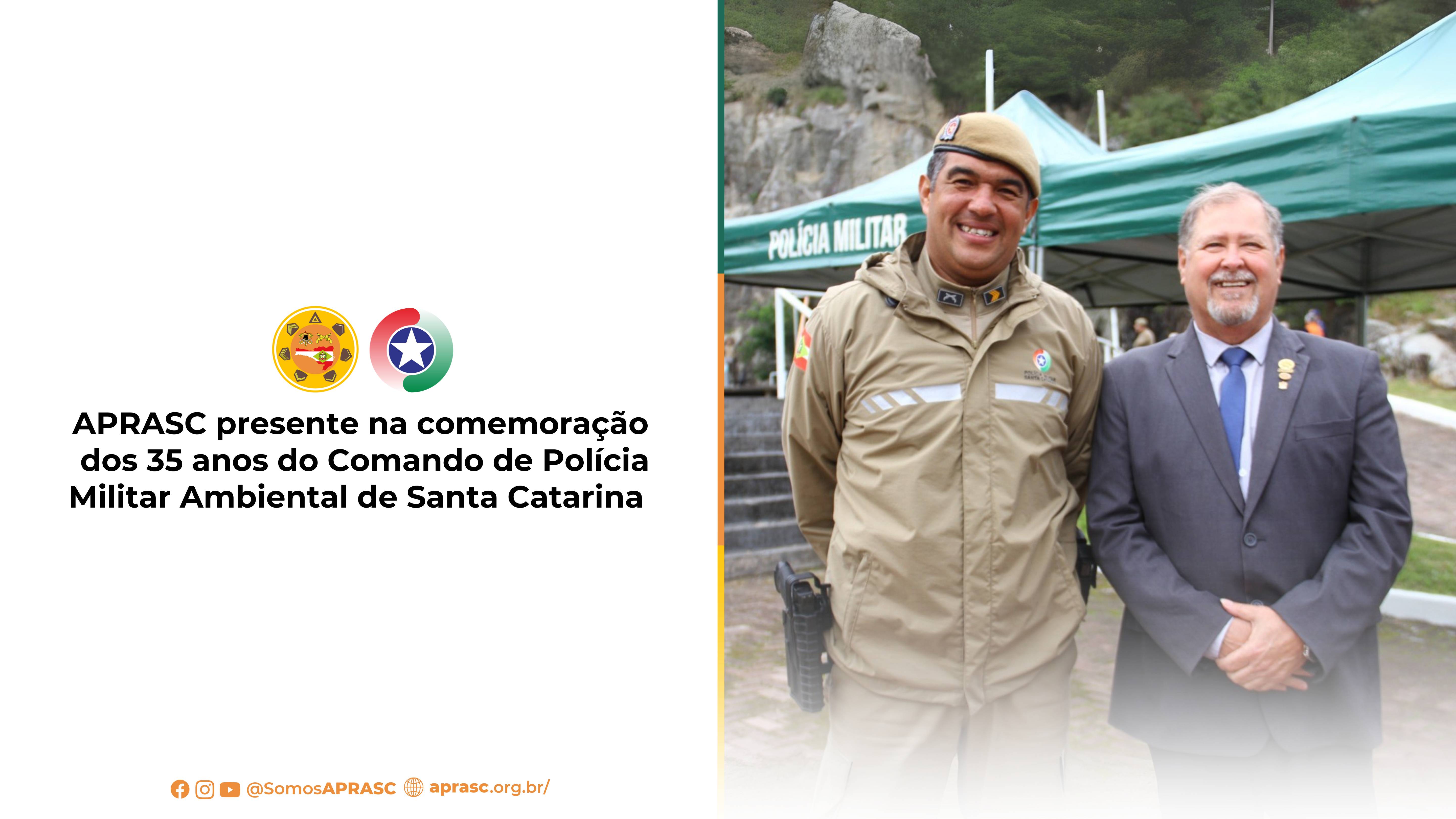 imagem noticia