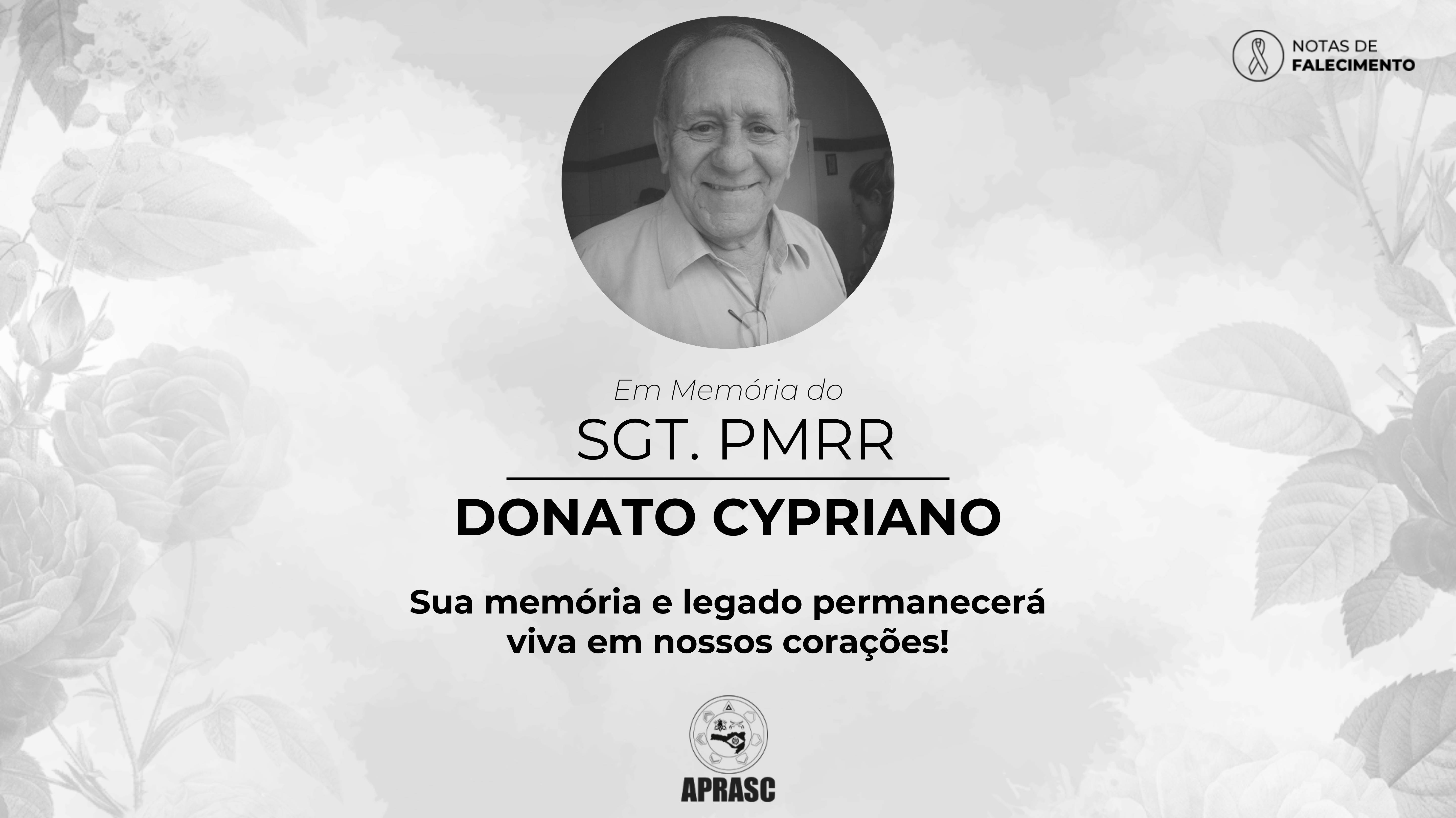 imagem noticia