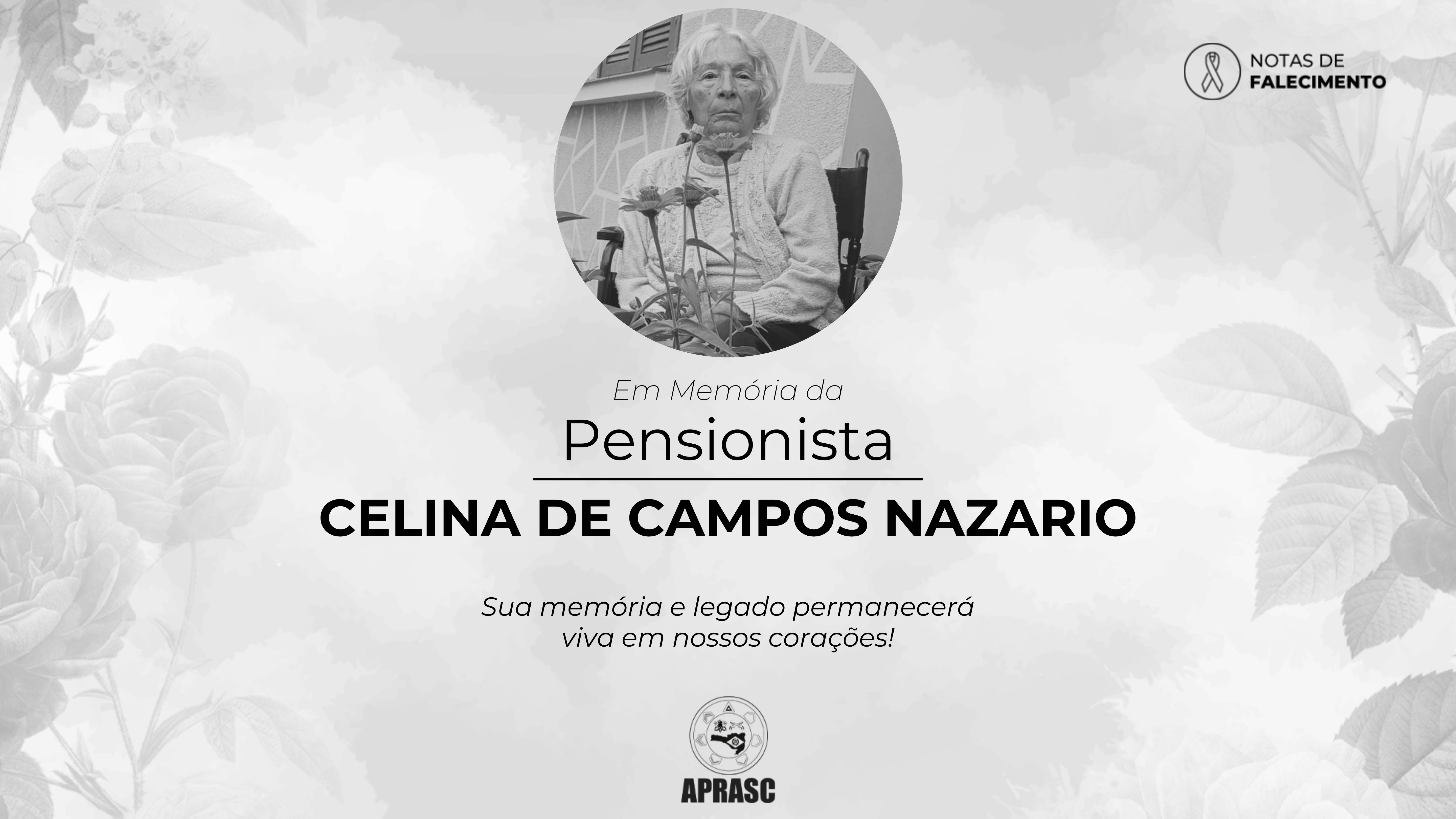 imagem noticia