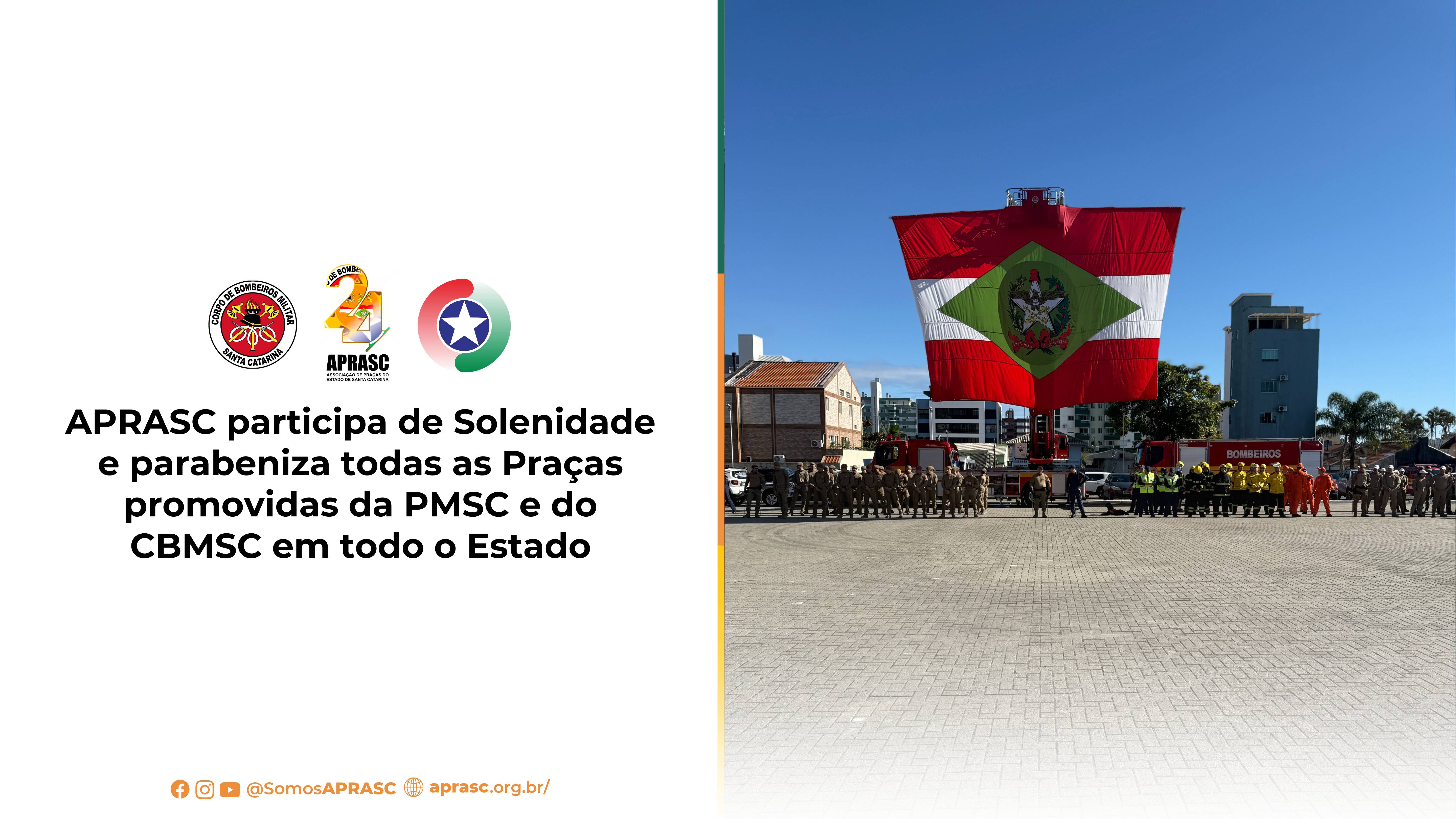 imagem noticia