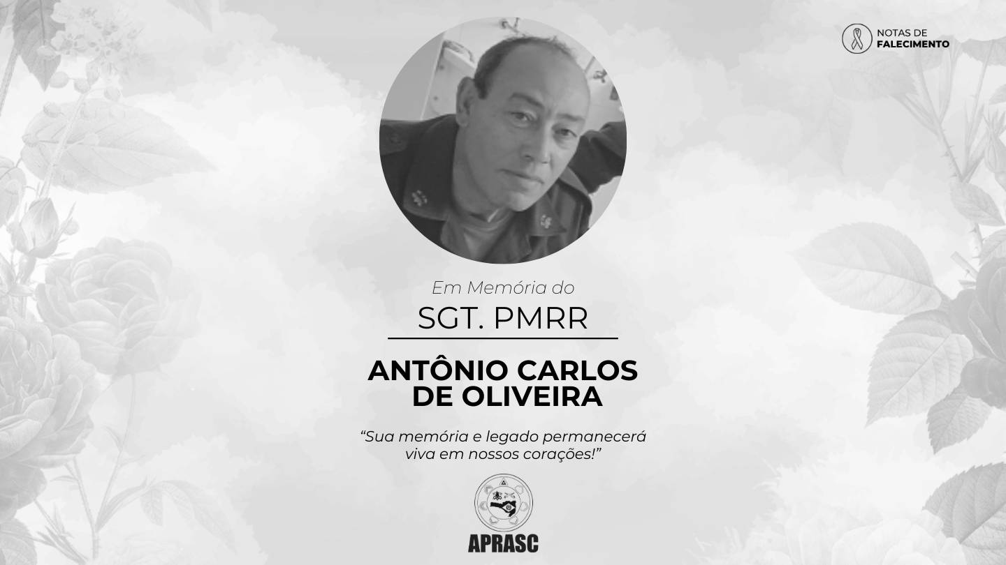 imagem noticia