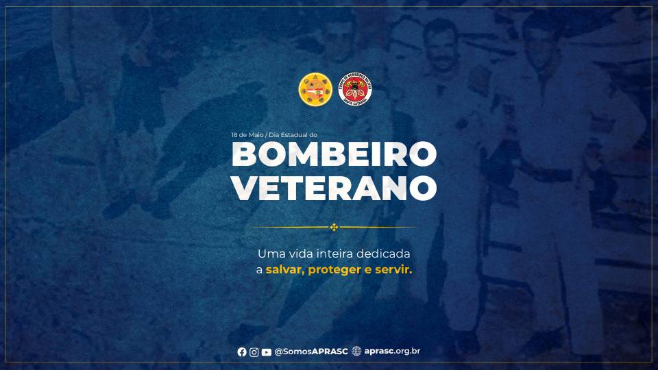 imagem noticia