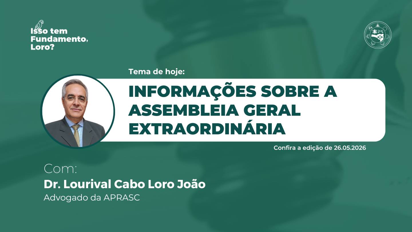 imagem noticia