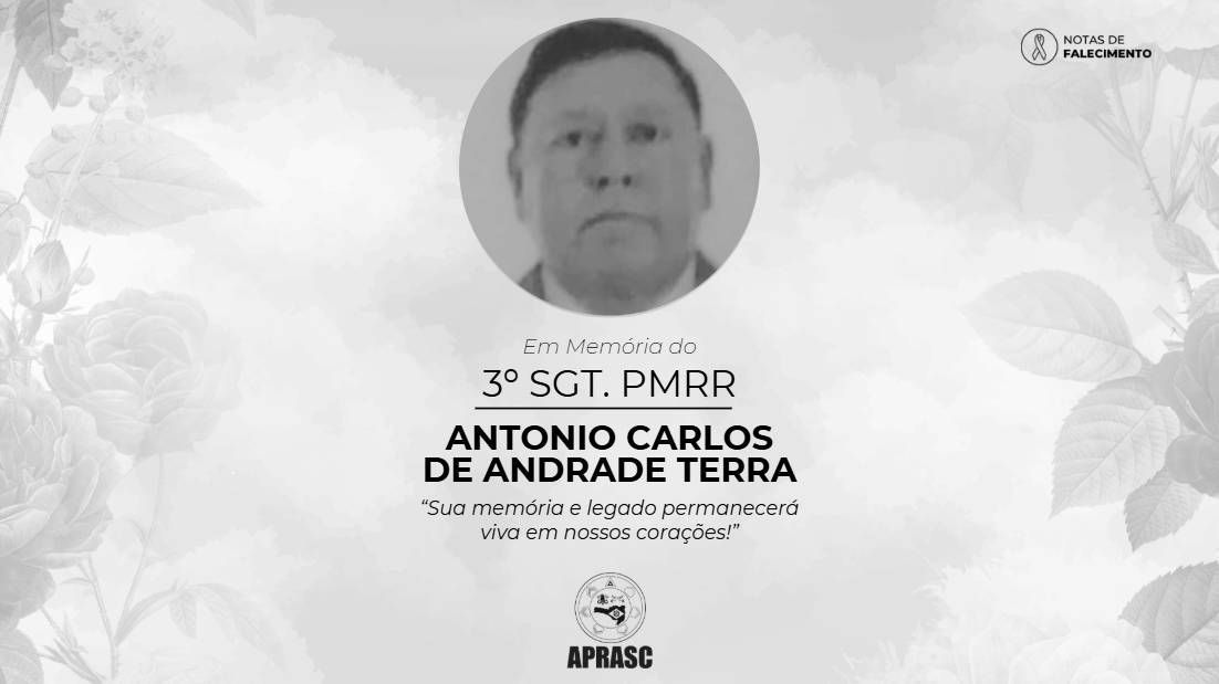 imagem noticia