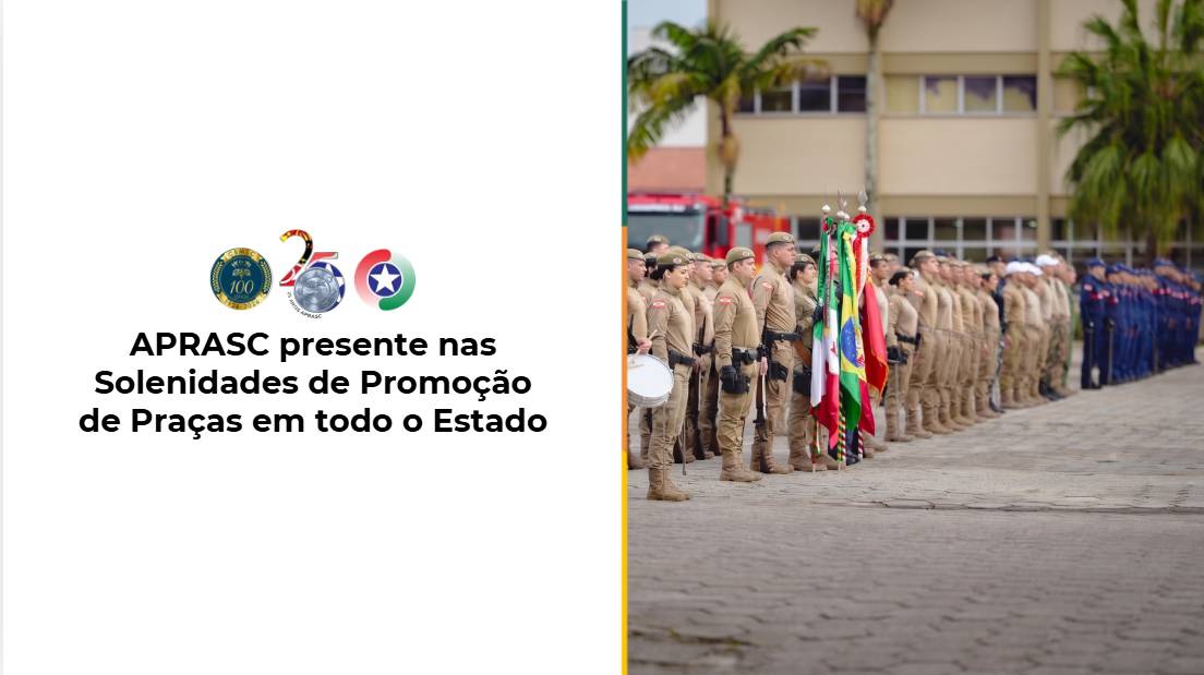 imagem noticia
