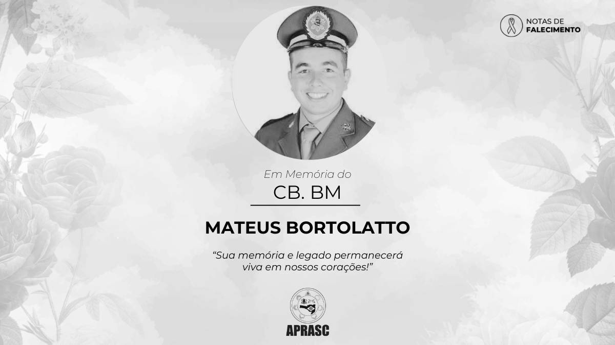 imagem noticia