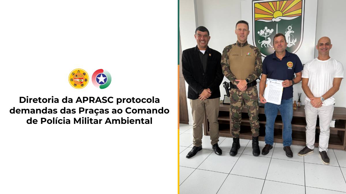 imagem noticia