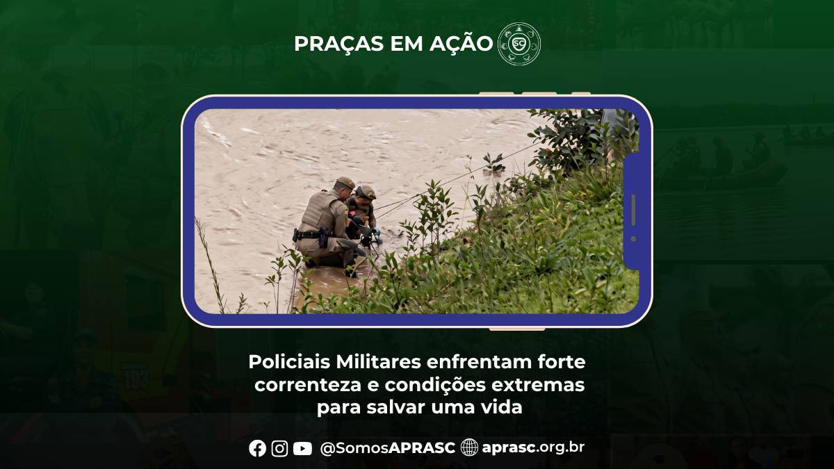 imagem noticia