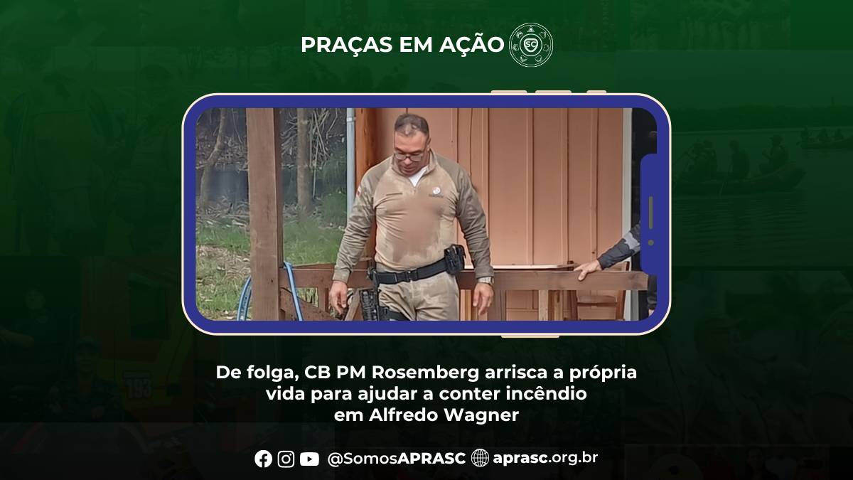 imagem noticia