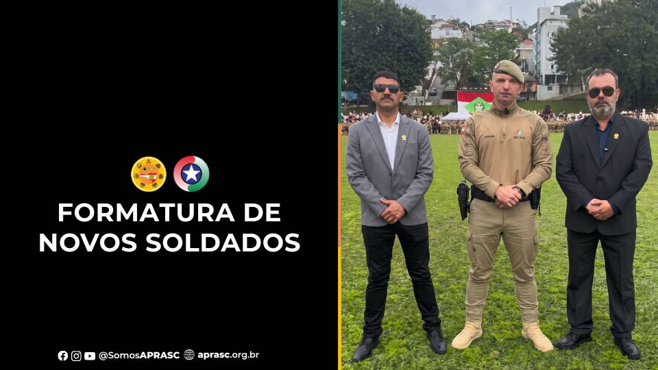 imagem noticia