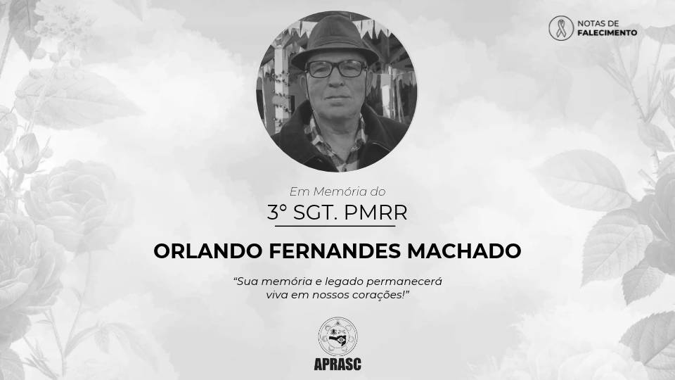 imagem noticia